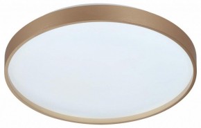 Накладной светильник Sonex Gaby 7783/DL в Копейске - kopejsk.ok-mebel.com | фото 4
