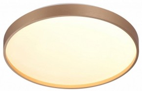 Накладной светильник Sonex Gaby 7783/DL в Копейске - kopejsk.ok-mebel.com | фото 5