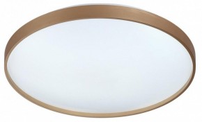Накладной светильник Sonex Gaby 7783/EL в Копейске - kopejsk.ok-mebel.com | фото 4