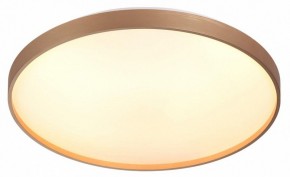 Накладной светильник Sonex Gaby 7783/EL в Копейске - kopejsk.ok-mebel.com | фото 5