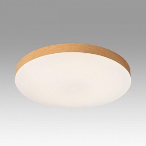 Накладной светильник Sonex Gamma 7761/50L в Копейске - kopejsk.ok-mebel.com | фото 3