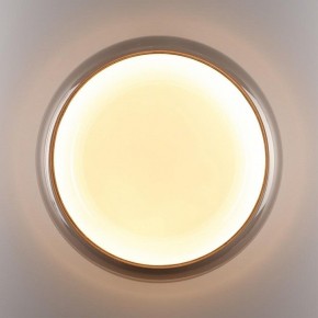 Накладной светильник Sonex PORTMAN 7777/DLN в Копейске - kopejsk.ok-mebel.com | фото 6