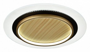 Накладной светильник Sonex Sunny 7731/80L в Копейске - kopejsk.ok-mebel.com | фото