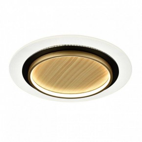 Накладной светильник Sonex Sunny 7731/80L в Копейске - kopejsk.ok-mebel.com | фото 4