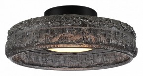 Накладной светильник ST-Luce ANTIKE SL6143.412.01 в Копейске - kopejsk.ok-mebel.com | фото 2