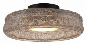 Накладной светильник ST-Luce ANTIKE SL6143.422.01 в Копейске - kopejsk.ok-mebel.com | фото 3