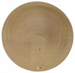Накладной светильник ST-Luce Fossil SL6900.501.16 в Копейске - kopejsk.ok-mebel.com | фото