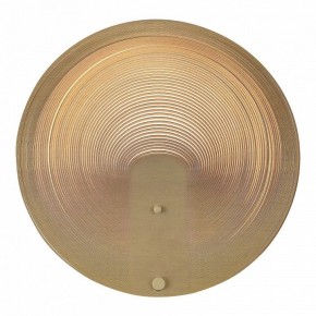 Накладной светильник ST-Luce Fossil SL6900.501.16 в Копейске - kopejsk.ok-mebel.com | фото 2