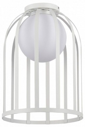 Накладной светильник ST-Luce Nordic SL6129.502.01 в Копейске - kopejsk.ok-mebel.com | фото