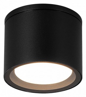 Накладной светильник ST-Luce Tubo SL9006.402.01 в Копейске - kopejsk.ok-mebel.com | фото 2