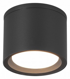 Накладной светильник ST-Luce Tubo SL9006.702.01 в Копейске - kopejsk.ok-mebel.com | фото 2