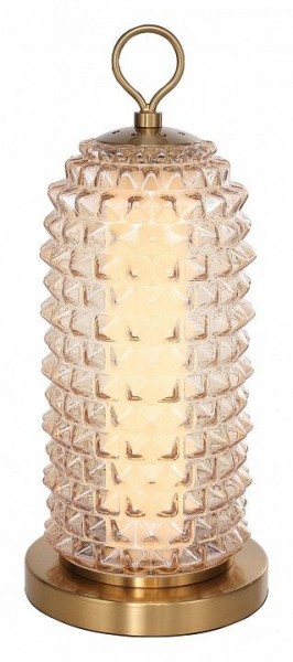 Настольная лампа декоративная ST-Luce SAGUARO SL6144.304.01 в Копейске - kopejsk.ok-mebel.com | фото 2
