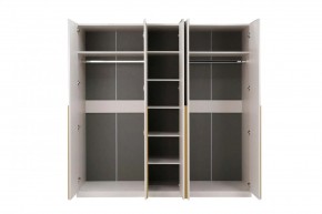 НИКОЛЬ 25 Шкаф 5-ти створчатый в Копейске - kopejsk.ok-mebel.com | фото 3