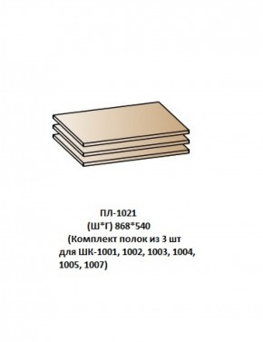 ПЛ-1021 (Комплект полок из 3 шт для ШК-1001, 1002, 1003, 1004, 1005, 1007) в Копейске - kopejsk.ok-mebel.com | фото