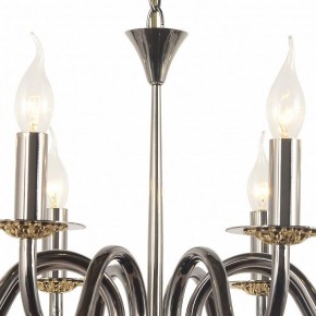 Подвесная люстра Arti Lampadari Pontone Pontone E 1.1.8 PB в Копейске - kopejsk.ok-mebel.com | фото 3