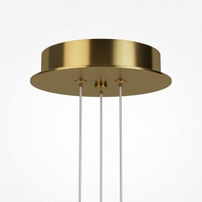 Подвесная люстра Maytoni Arana MOD401PL-L108BS3K в Копейске - kopejsk.ok-mebel.com | фото 7