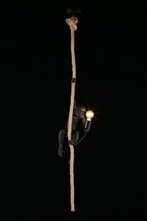 Подвесной светильник Aployt Magali APL.309.16.01 в Копейске - kopejsk.ok-mebel.com | фото 3
