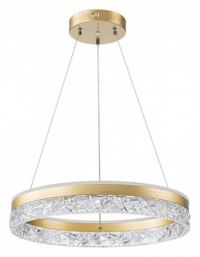 Подвесной светильник Arte Lamp Apollo A2549SP-75GO в Копейске - kopejsk.ok-mebel.com | фото 2