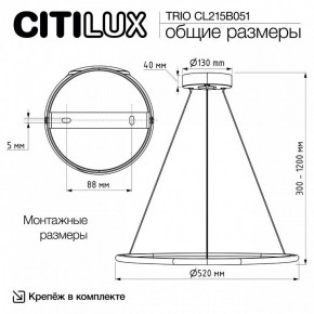 Подвесной светильник Citilux Trio CL215B051 в Копейске - kopejsk.ok-mebel.com | фото 8