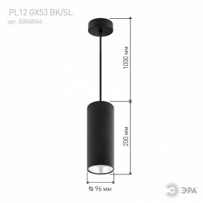 Подвесной светильник Эра  PL12 GX53 BK/SL в Копейске - kopejsk.ok-mebel.com | фото 8