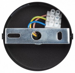 Подвесной светильник Эра  PL12 GX53 BK/SL в Копейске - kopejsk.ok-mebel.com | фото 9