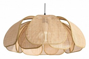 Подвесной светильник Freya Cocoon FR5529PL-01B в Копейске - kopejsk.ok-mebel.com | фото