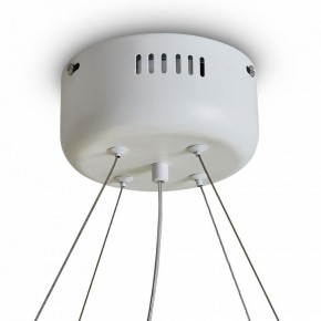 Подвесной светильник Freya Rain FR5546PL-L60W в Копейске - kopejsk.ok-mebel.com | фото 9