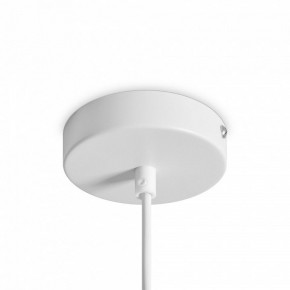 Подвесной светильник Freya Shapes FR5530PL-L10W в Копейске - kopejsk.ok-mebel.com | фото 5