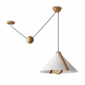 Подвесной светильник Freya Umbra FR5554CL-01T в Копейске - kopejsk.ok-mebel.com | фото 2