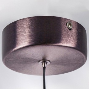 Подвесной светильник Lightstar Caramello 796113 в Копейске - kopejsk.ok-mebel.com | фото 10