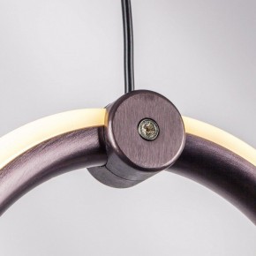 Подвесной светильник Lightstar Caramello 796113 в Копейске - kopejsk.ok-mebel.com | фото 9