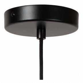 Подвесной светильник Lucide Rollo 45491/40/55 в Копейске - kopejsk.ok-mebel.com | фото 5