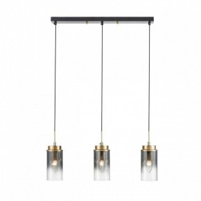 Подвесной светильник Lumion Isha 8101/3A в Копейске - kopejsk.ok-mebel.com | фото 7