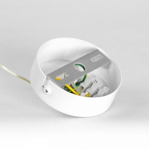 Подвесной светильник Lussole Gregg LSP-8963 в Копейске - kopejsk.ok-mebel.com | фото 7