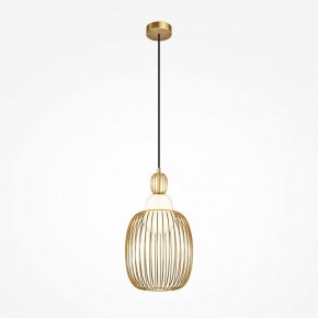 Подвесной светильник Maytoni Levitation MOD376PL-01G1 в Копейске - kopejsk.ok-mebel.com | фото 2