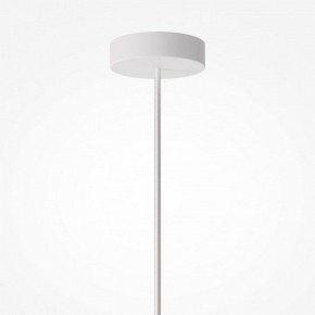 Подвесной светильник Maytoni Toys MOD405PL-01W в Копейске - kopejsk.ok-mebel.com | фото 7
