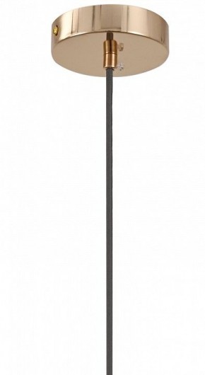 Подвесной светильник Moderli Charm V11176-1P в Копейске - kopejsk.ok-mebel.com | фото 8