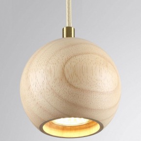Подвесной светильник Odeon Light Caucho 7061/1 в Копейске - kopejsk.ok-mebel.com | фото 2