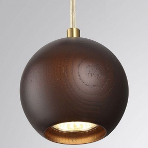 Подвесной светильник Odeon Light Caucho 7062/1 в Копейске - kopejsk.ok-mebel.com | фото