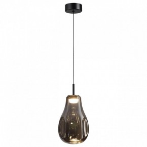Подвесной светильник Odeon Light Nave 5098/4LC в Копейске - kopejsk.ok-mebel.com | фото 2