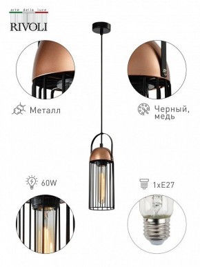 Подвесной светильник Rivoli Anemon Б0047359 в Копейске - kopejsk.ok-mebel.com | фото 6