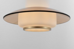 Подвесной светильник Rivoli Camille Б0061901 в Копейске - kopejsk.ok-mebel.com | фото 11