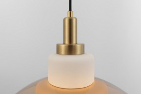 Подвесной светильник Rivoli Camille Б0061901 в Копейске - kopejsk.ok-mebel.com | фото 12