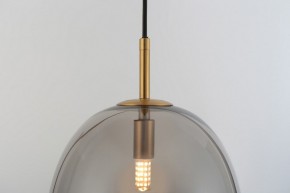 Подвесной светильник Rivoli Claire Б0061905 в Копейске - kopejsk.ok-mebel.com | фото 10