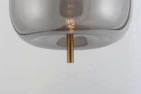 Подвесной светильник Rivoli Claire Б0061905 в Копейске - kopejsk.ok-mebel.com | фото 11