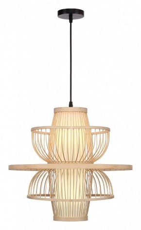 Подвесной светильник ST-Luce ALMA SL6241.513.01 в Копейске - kopejsk.ok-mebel.com | фото 2
