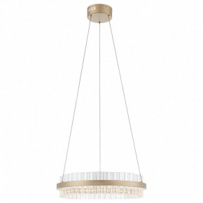 Подвесной светильник ST-Luce Cherio SL383.203.01 в Копейске - kopejsk.ok-mebel.com | фото 3