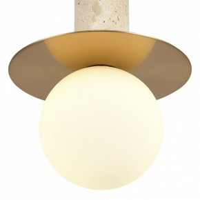 Подвесной светильник ST-Luce Earthy SL1194.303.01 в Копейске - kopejsk.ok-mebel.com | фото 5
