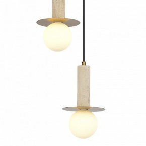 Подвесной светильник ST-Luce Earthy SL1194.303.03 в Копейске - kopejsk.ok-mebel.com | фото 4