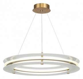 Подвесной светильник ST-Luce FAGY SL6245.203.01 в Копейске - kopejsk.ok-mebel.com | фото 2
